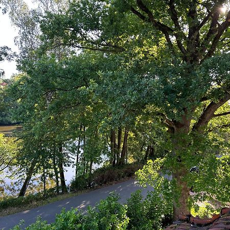 Villa Am See Bad Sachsa Luaran gambar